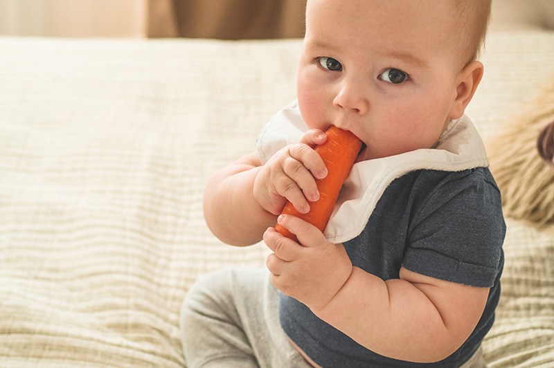 Kleinkind isst eine Karotte / Beikost